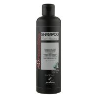 Kleral System BRIZZOLINA Shampoo Шампунь чоловічий