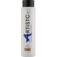 ARTISTO BALANCE & CONTROL Бальзам для блиску Shine Conditioner